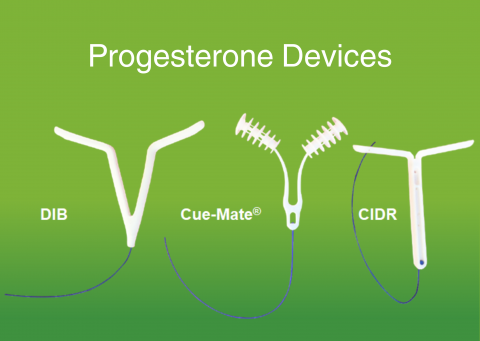 Progesterone Devices