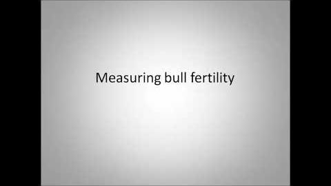 Beef Bulls   Measuring and Mitigating Failure EDITED