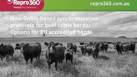 New GnRH based synchronisation protocols for beef cattle herds: Options for EU accredited herds
